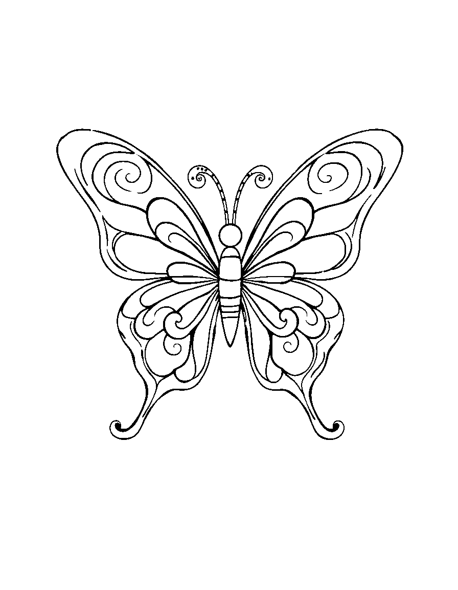 Раскраски: Бабочка — превью